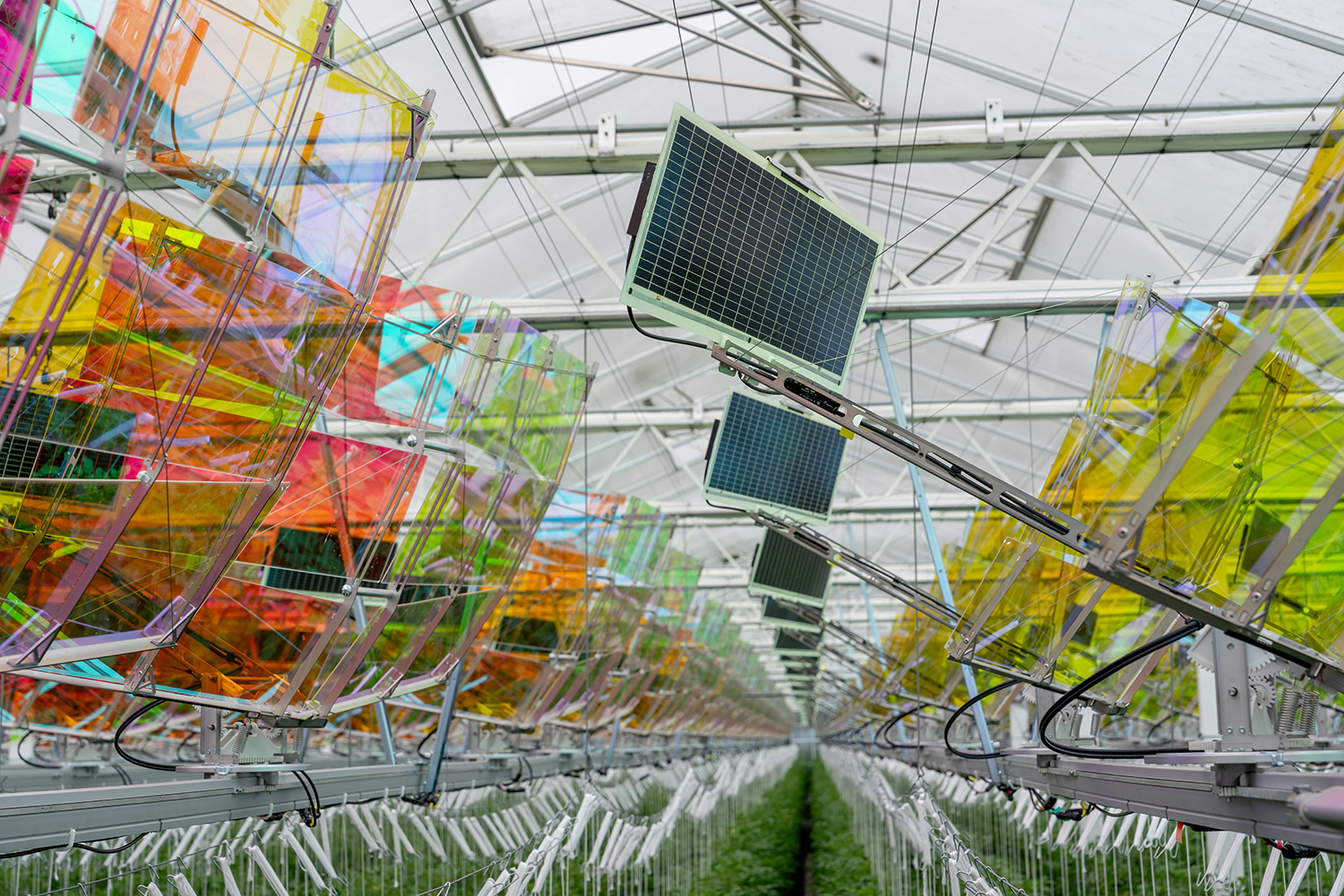 Meier Gemüse -Innovative Solaranlage